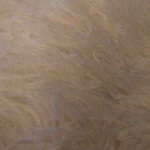 Meet your Posher, Sue